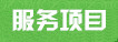 服務(wù)項目 服務(wù)項目